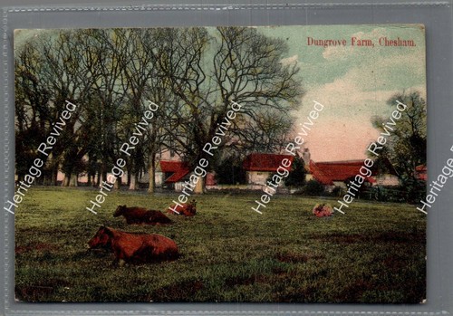 Vintage chesham bucks - chesham,