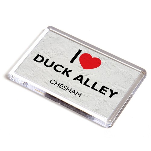 Fridge magnet love duck - fridge,