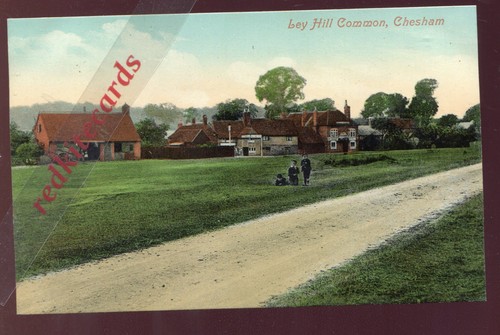 Chesham ley hill common pre - common, (pre