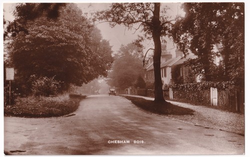 Chesham bois buckinghamshire - bois,