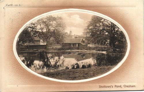 Skottowe pond chesham - skottowe's,