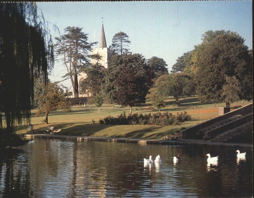 Skottowe pond chesham - pond,