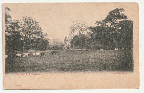 Chesham the park an - chesham,