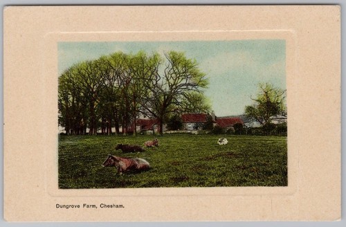 Chesham dungrove farm - dungrove,